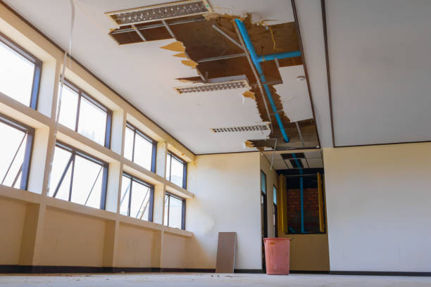 Best Flood restoration services  in Glenwood Springs, CO