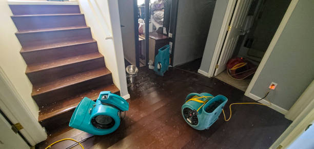 Best Emergency water damage restoration  in Glenwood Springs, CO