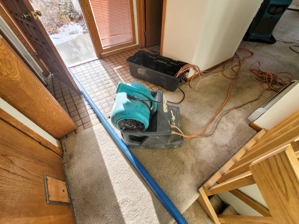 Best Residential water damage restoration  in Glenwood Springs, CO