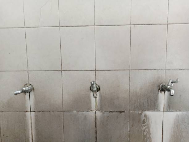 Best Fire Damage Restoration  in Glenwood Springs, CO