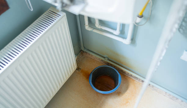 Best Water damage mitigation services  in Glenwood Springs, CO