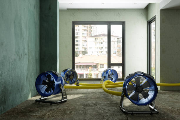 Trusted Glenwood Springs, CO Water damage restoration Experts